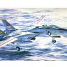 Склеиваемая пластиковая модель Истребитель Grumman F-14A Tomcat "Atlantic Fleet Squadrons". Масштаб 1:48