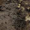 Акриловый продукт TERRAINS - илистая почва, 250 мл