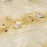 Акриловый продукт TERRAINS - песок пустыни, 250 мл
