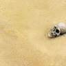 Акриловый продукт TERRAINS - песок пустыни, 250 мл