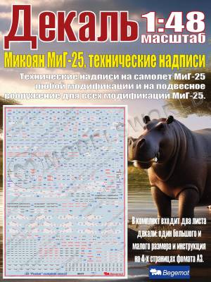 Декаль М_икоя_н М_иГ-25 технические надписи. Масштаб 1:48