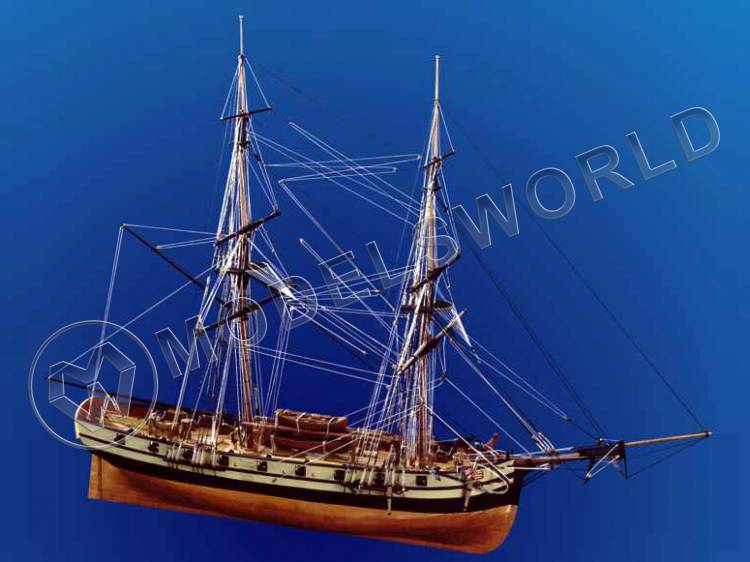 Набор для постройки модели корабля HMS JALOUSE. Масштаб 1:64 - фото 1