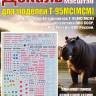 Декаль на 40 вариантов Т-95МС(МСМ) из состава ВВС СССР, ВВС России, ВКС России. 1:144
