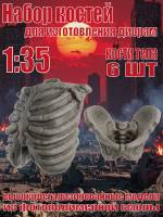 Набор костей для диорам. Кости тела. 6 шт. Масштаб 1:35