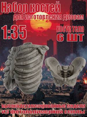 Набор костей для диорам. Кости тела. 6 шт. Масштаб 1:35