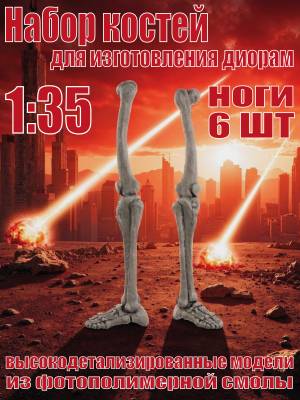 Набор костей для диорам. Ноги. 6 шт. Масштаб 1:35