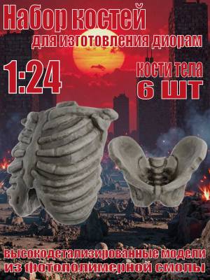 Набор костей для диорам. Кости тела. 6 шт. Масштаб 1:24