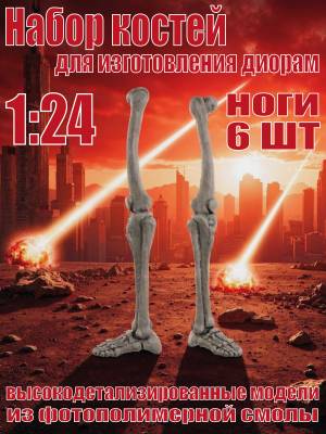Набор костей для диорам. Ноги. 6 шт. Масштаб 1:24