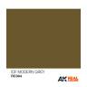 Акриловая лаковая краска AK Interactive Real Colors. IDF Sinai Grey since 1990. 10 мл